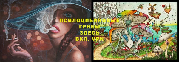 скорость Абаза