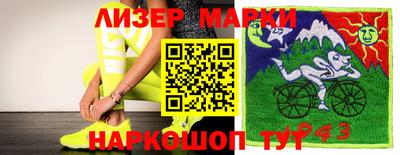 гашик Донской