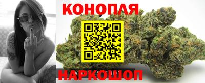 гашик Донской