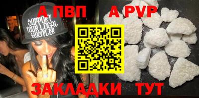 гашик Донской