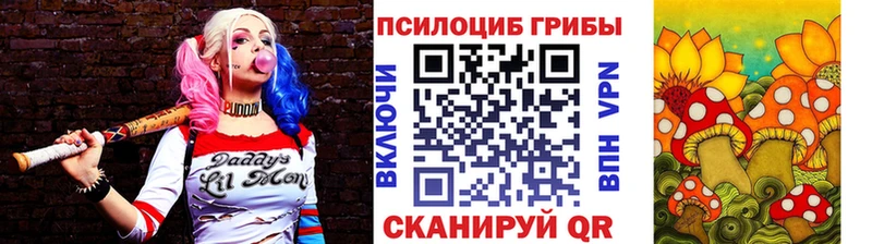 omg ссылки  Прокопьевск  Галлюциногенные грибы мицелий 