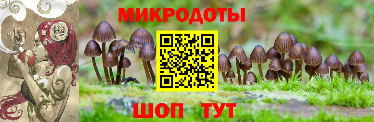 купить наркоту  Вход с VPN  Прокопьевск  Галлюциногенные грибы GOLDEN TEACHER 